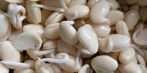 Dehydrated Vaal Sprouts