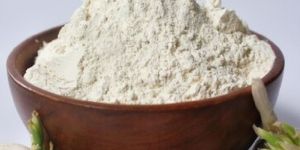 Dehydrated White Onion Powder