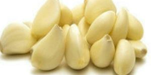 Fresh Peeled Garlic