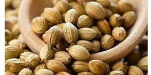 Whole Coriander Seed