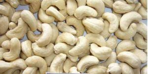 WW240 Cashew Nut