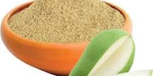 Premium Amchur Powder