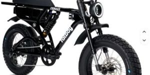 adults aluminum alloy frame 15ah lithium battery electric bike