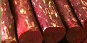 Natural Red Sandalwood Logs