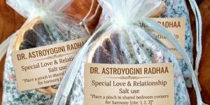 Vastu Consultancy Services