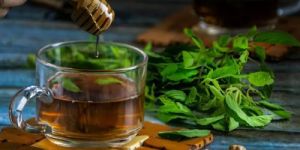 Tulsi Ginger Green Tea