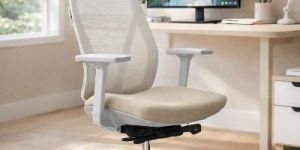 Ergonomic Chair