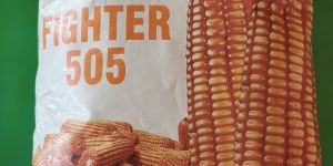 Rik Fighter 505 Hybrid Maize Seed