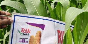rik super 55 hybrid maize seed