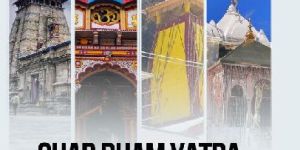 Domestic Tour Operators