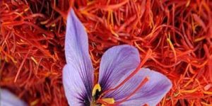 Super Negin Iranian Saffron
