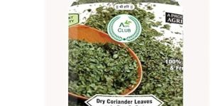Coriander Leaf Powder
