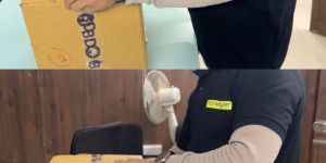 Domestic Courier Services