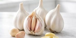 Fresh Garlic