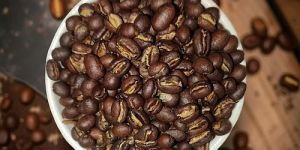 Roasted Coffee Beans