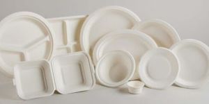 Bagasse Tableware