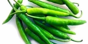 a Grade Fresh Green Chilli