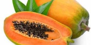 a Grade Fresh Papaya