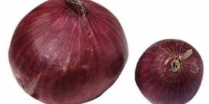 a Grade Fresh Red Onion