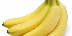 A Grade Fresh Yellow Banana