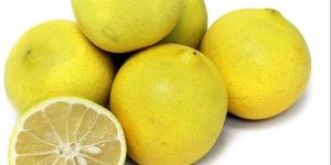 A Grade Yellow Sweet Lemon
