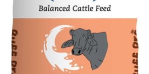 buff pro cattle feed