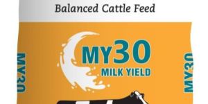 my 30 cattle feed