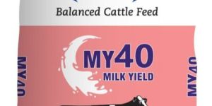 my 40 milk yield cattle feed