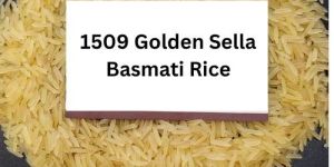 1509 Golden Sella Basmati Rice