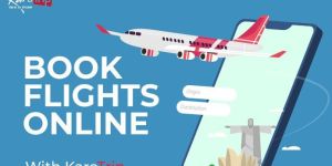 Air Ticketing Agents