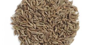 Cumin Seed Jeera