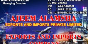 Sea Freight Forwarding Service
