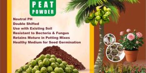 Coco Peat Powder
