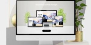 Web Designing Service