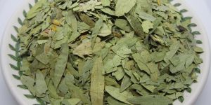 Senna Leaves