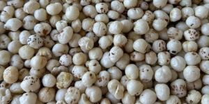 3 Plus Suta Raw Makhana