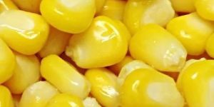 Frozen Sweet Corn