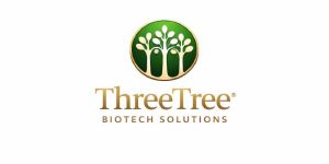 Ayurvedic Consultation Services