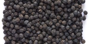 Black Pepper