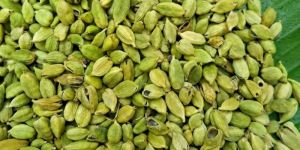 Green Cardamom