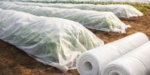 Agricultural Non Woven Crop Protection Cover
