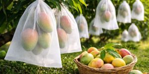 White Non Woven Fruit Cover