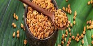 Whole Fenugreek Seed