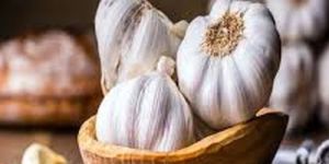 Natural Fresh White Garlic