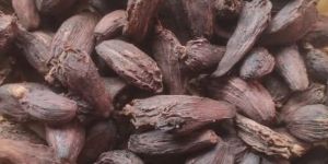 Black Cardamom
