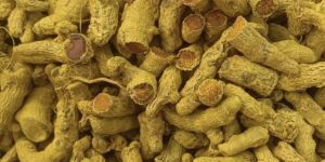 Turmeric Finger