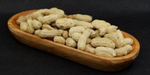 Groundnut Peanuts Seeds