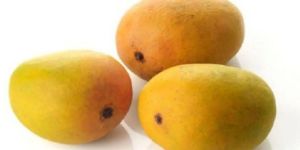 Lakshmanbhog Mango