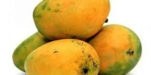 Moovanden Mango
