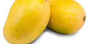 Ratol Mango